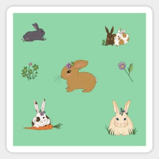 Baby Bunnies Magnet